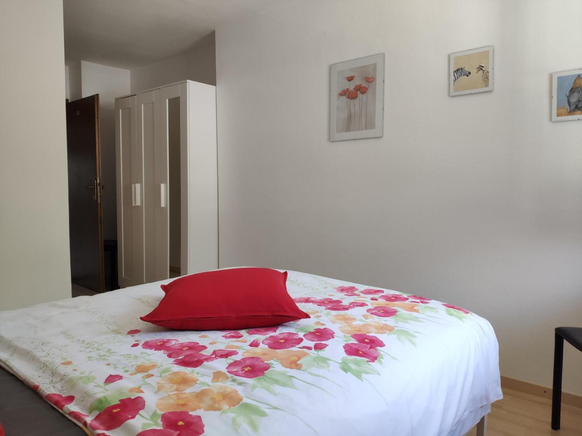 Appartement Alpendohle *